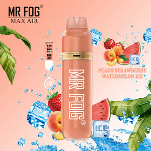 Mr. Fog Max Air